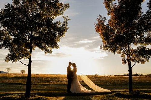 carousel-hero-element image-3