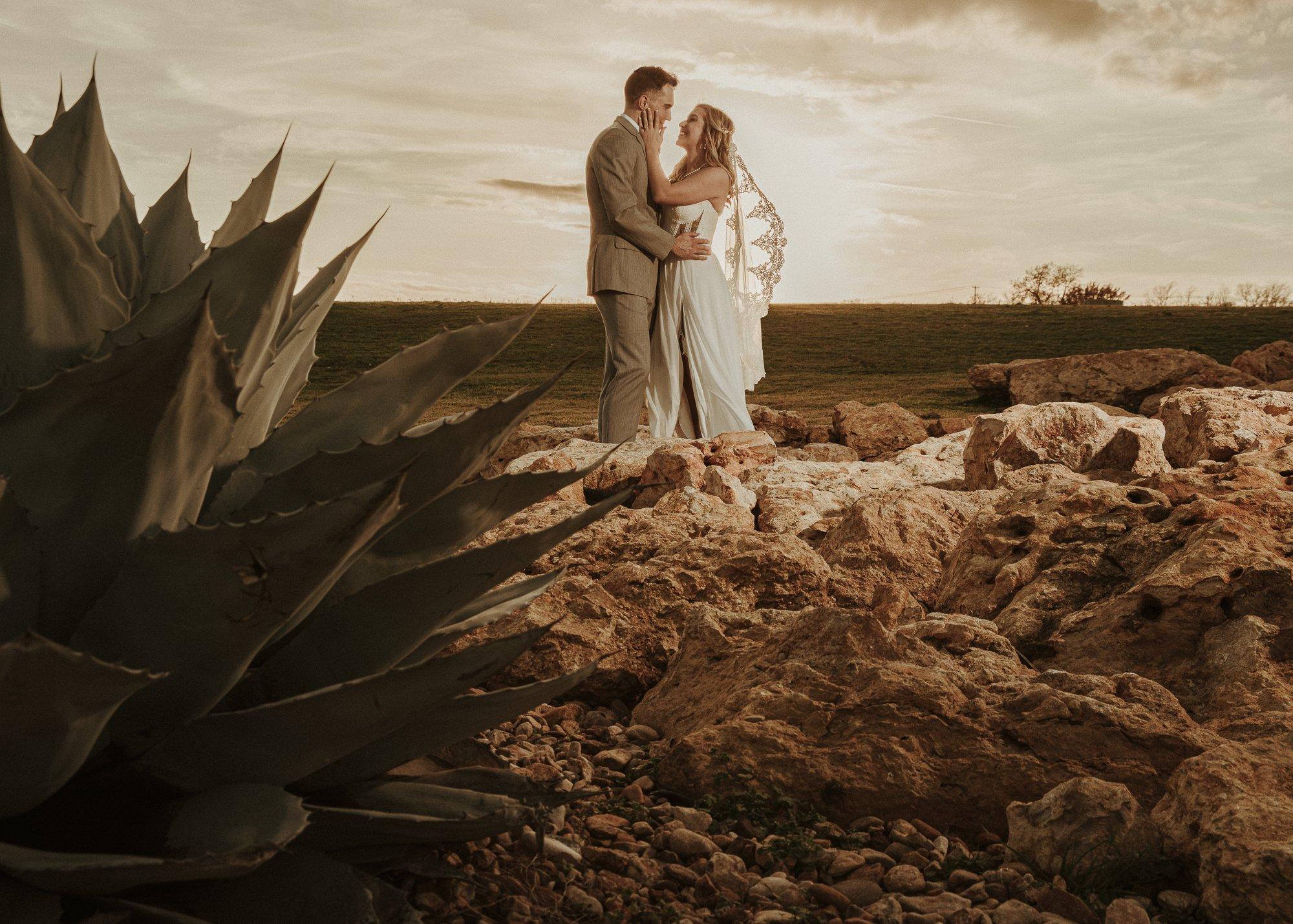 carousel-hero-element image-2