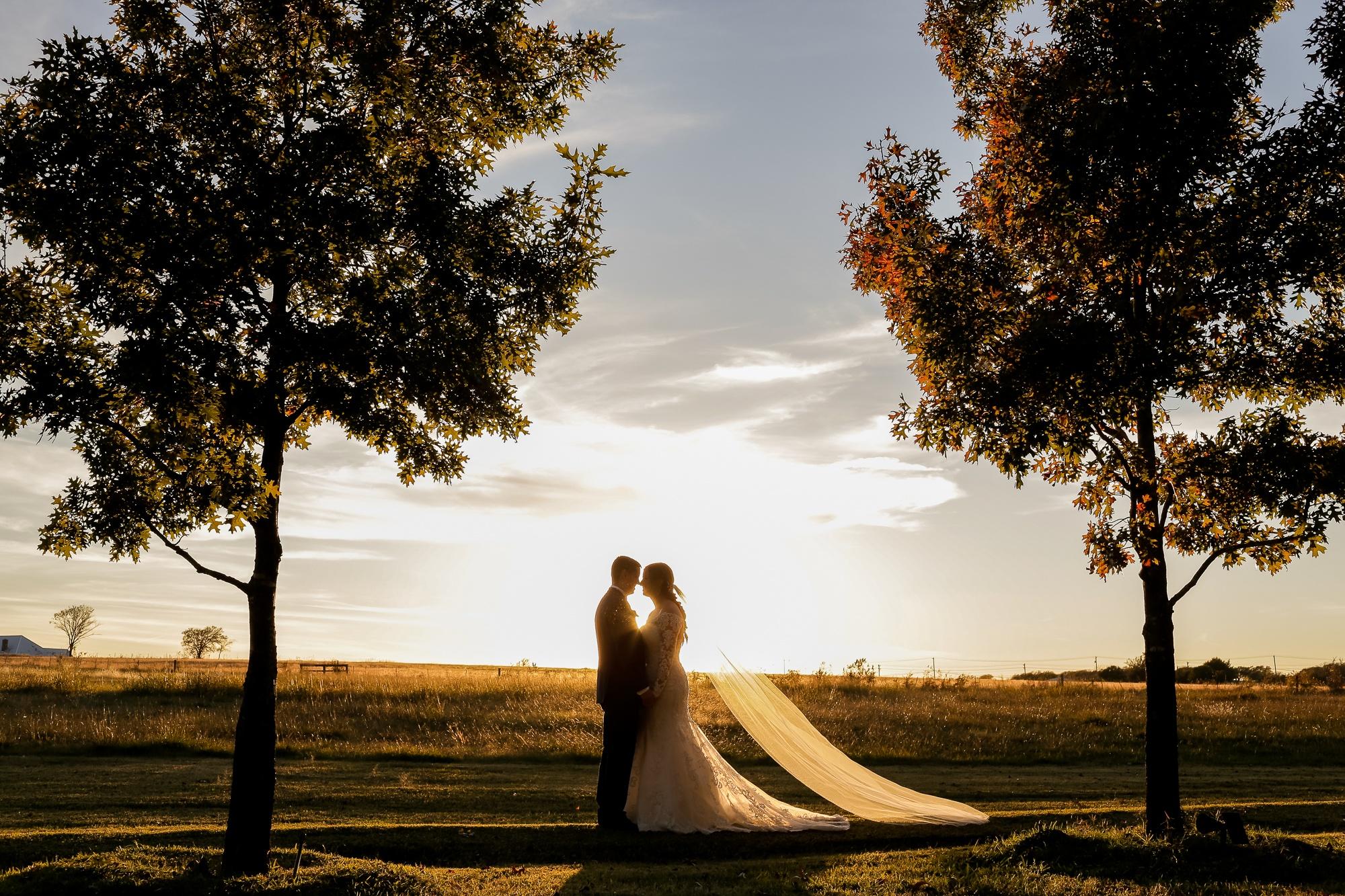 carousel-hero-element image-3